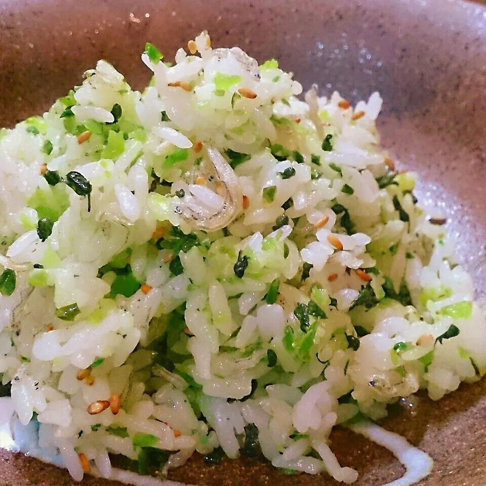 シソの実漬けとおじゃこご飯|mi_neneco♪さん