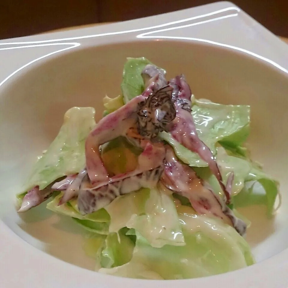 ちぎり春キャベツと芝漬けのサラダ|mi_neneco♪さん