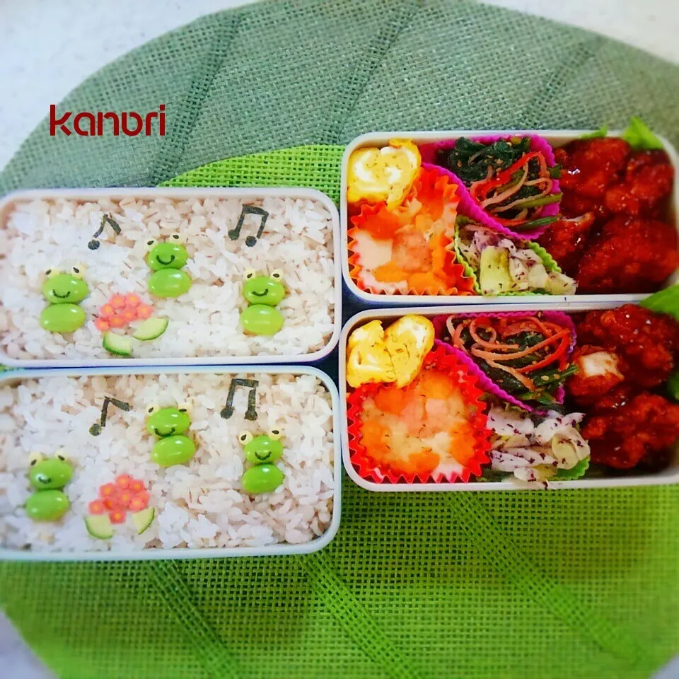 カエルちゃん合唱弁当～姉妹バレーボール～|かのりさん