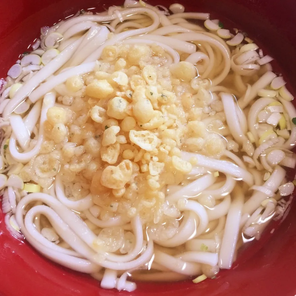 Snapdishの料理写真:たぬきうどん|Makokoさん