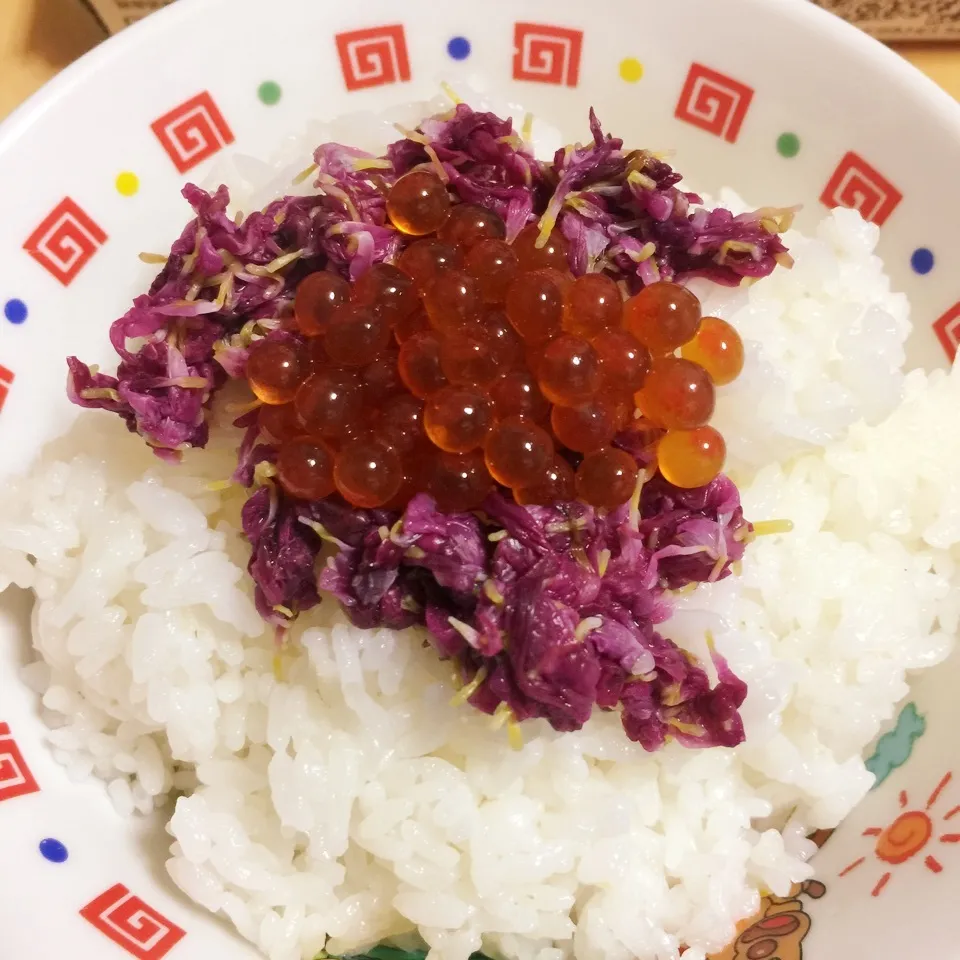 イクラ菊ご飯🍚|Makokoさん