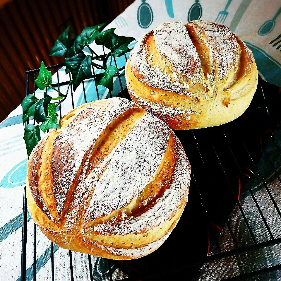 まだ作り続けてるペコちゃんのミルクハース|かおりん✴︎❤︎さん