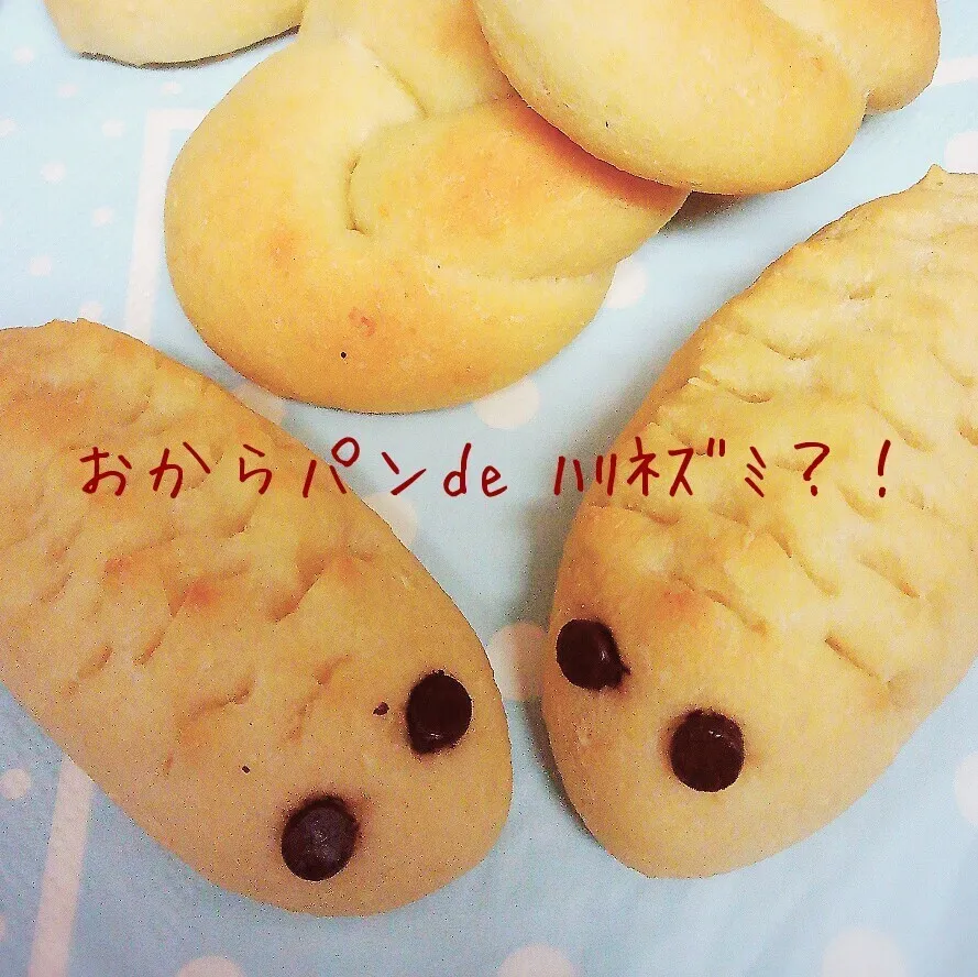 Snapdishの料理写真:さとさんのﾊﾘﾈｽﾞﾐﾊﾟﾝ…のつもり？！|かのりさん