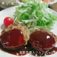 Snapdishの料理写真:高野豆腐入りハンバーグ&作り置き|＊akane＊さん