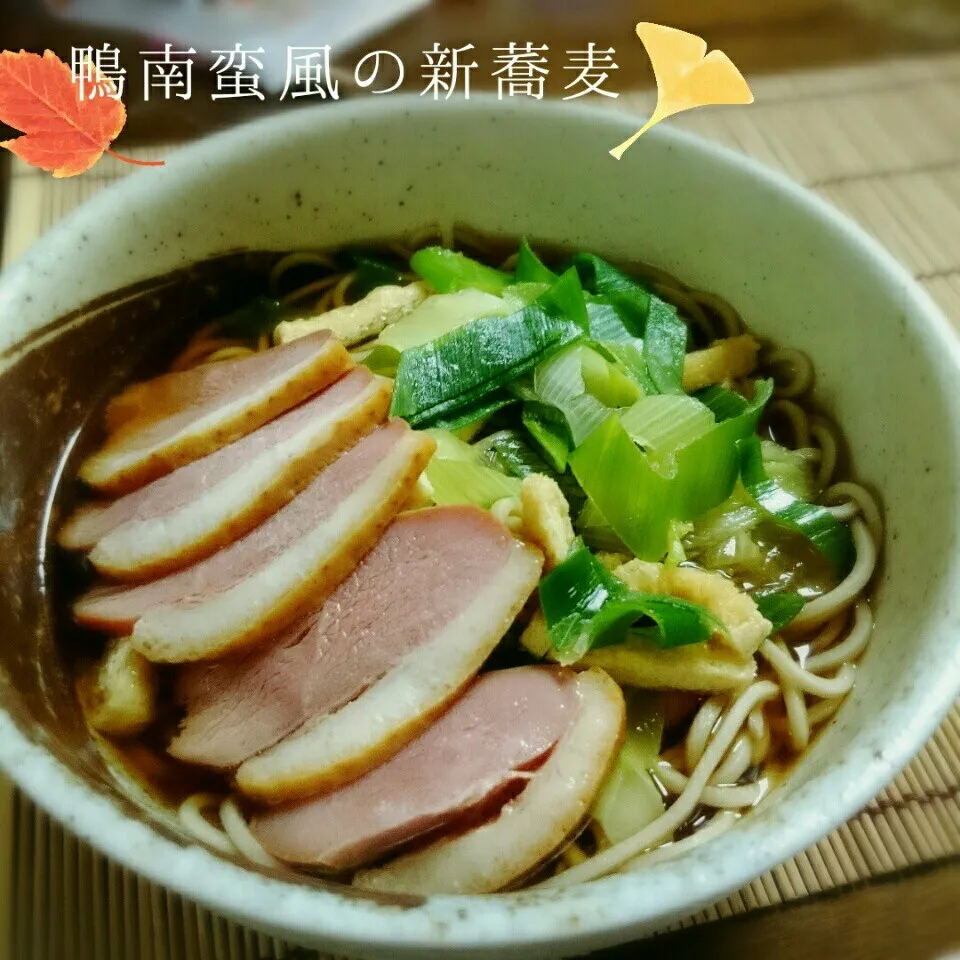 Snapdishの料理写真:お安く鴨南蛮風〰❤に新蕎麦😚|＊akane＊さん