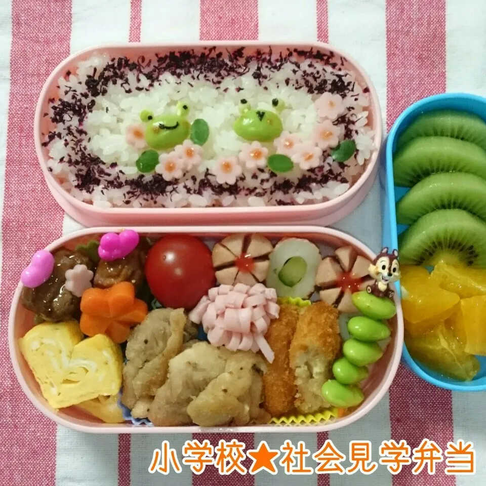 小学校の社会見学お弁当🍱(枝豆でかえるチャン)|＊akane＊さん