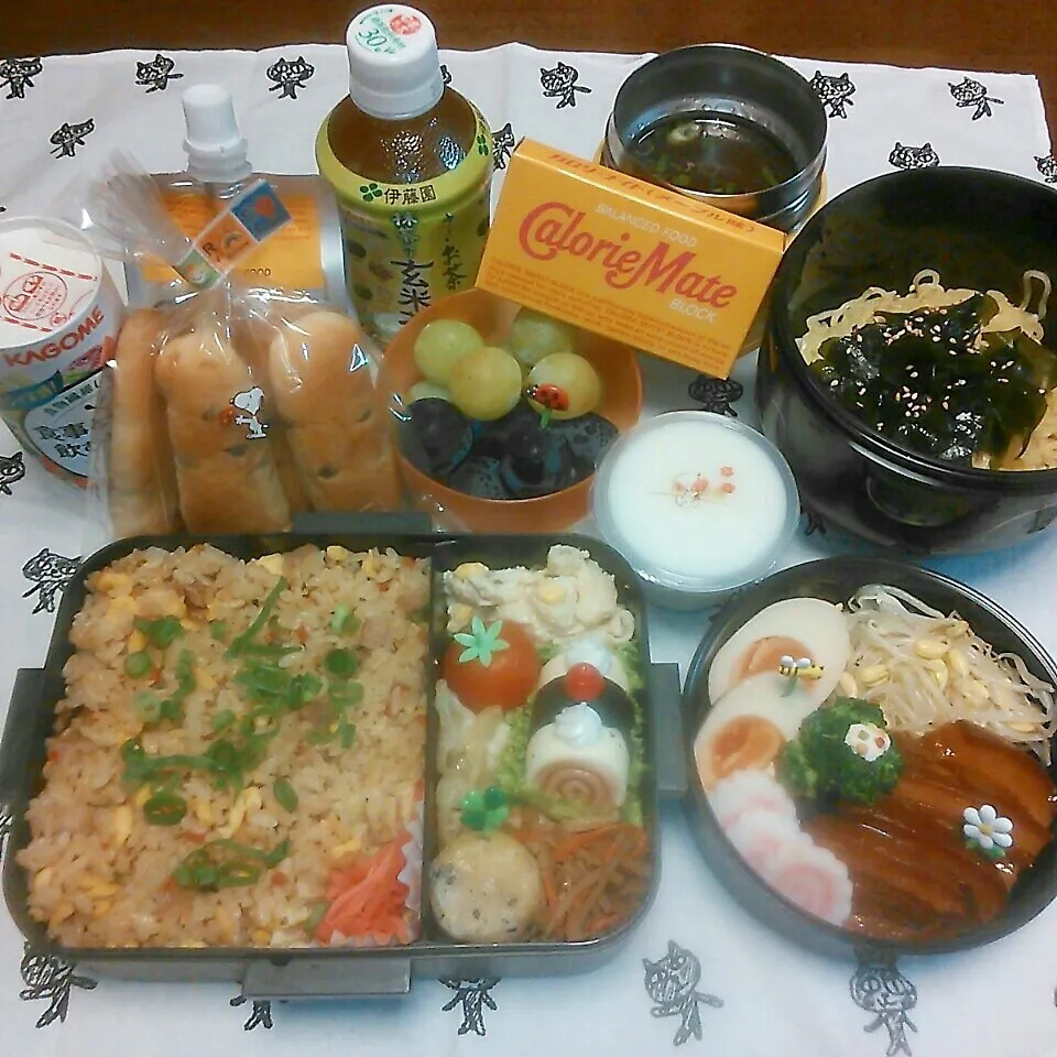 Snapdishの料理写真:＊高校球児弁当＊|koukou_momさん