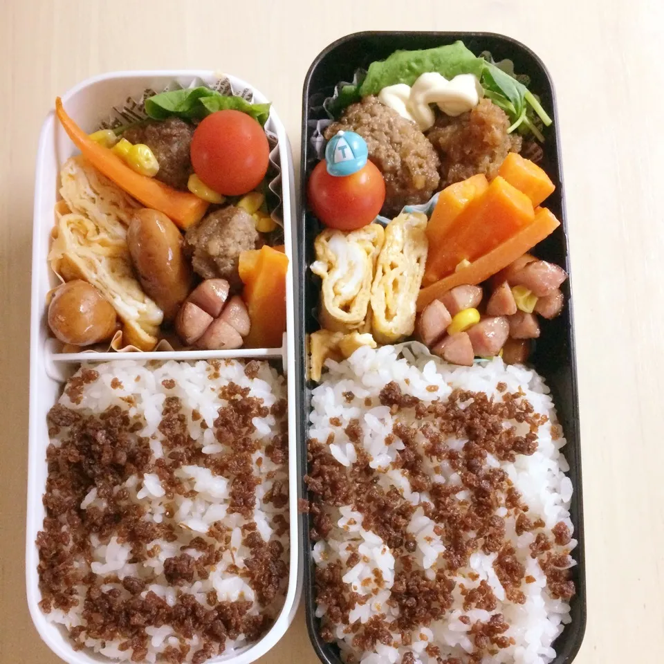 Snapdishの料理写真:8月17日 旦那さん＆兄貴のお弁当☀️|タモさん♫さん