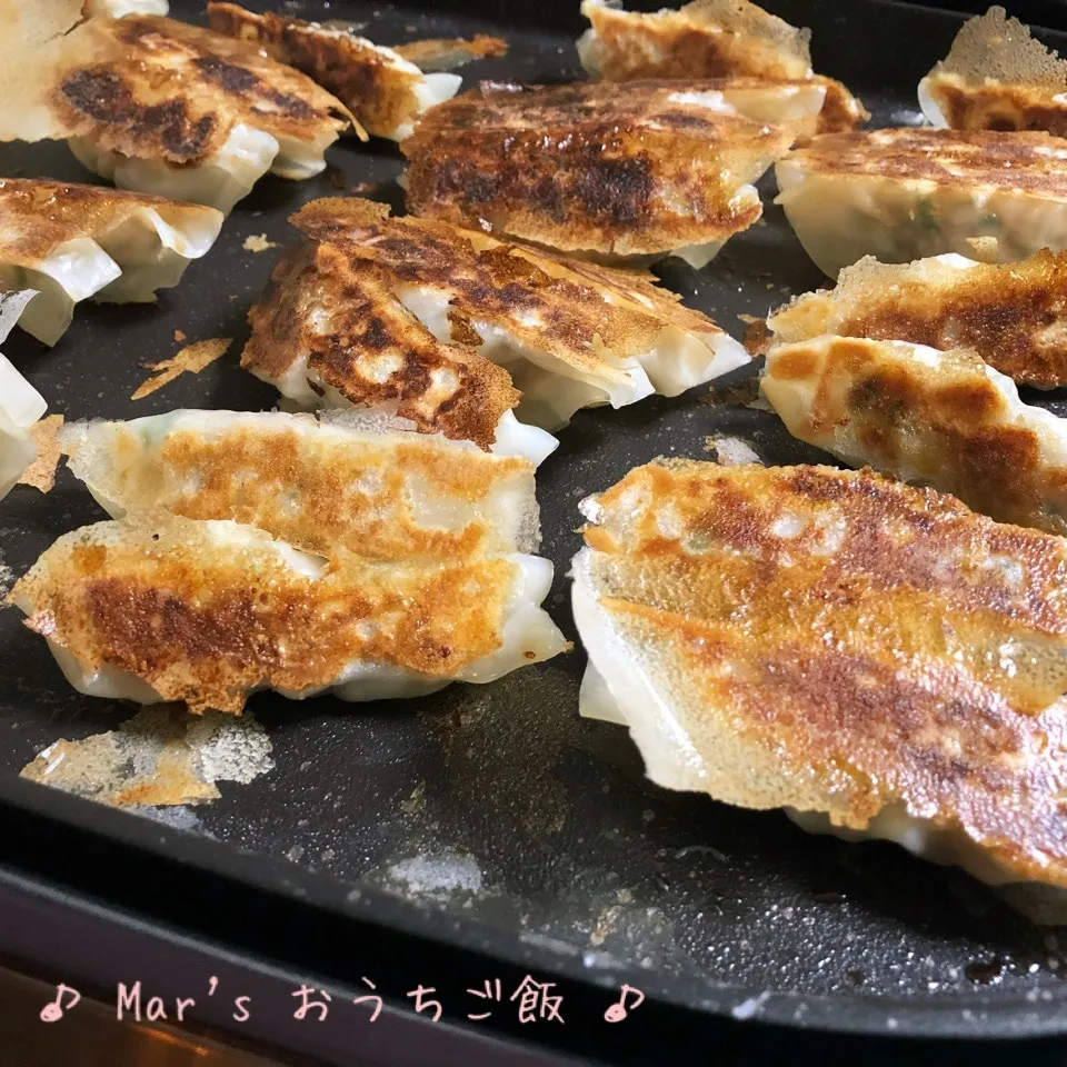 Snapdishの料理写真:ホットプレートで☆熱々〜羽根つき餃子♬|ma-chanさん