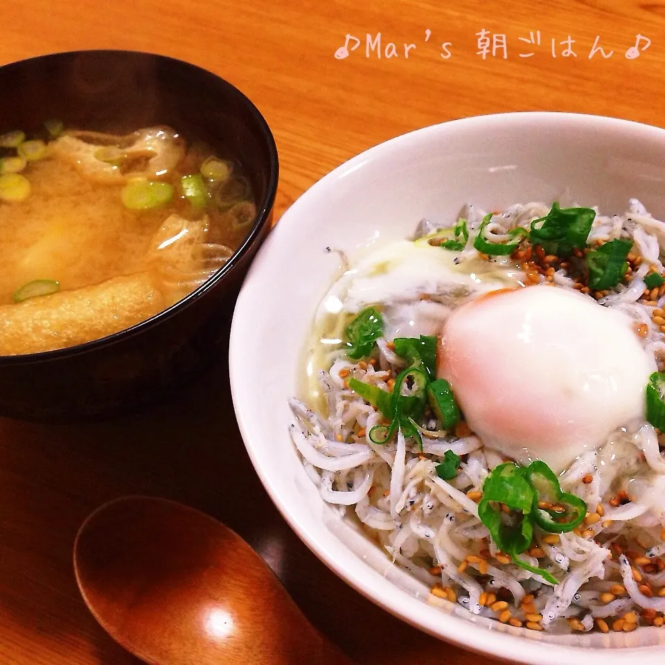 今日も頑張れ〜☆しらす丼＆豆腐のお味噌汁♪|ma-chanさん