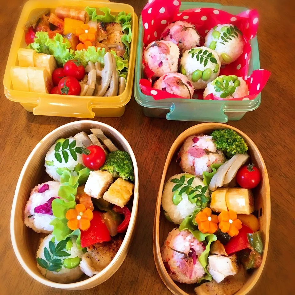 Snapdishの料理写真:おにぎり弁当|りん＊さん