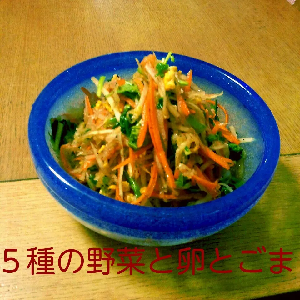 Snapdishの料理写真:５種の野菜、卵とごま☆中華サラダ|mickyさん