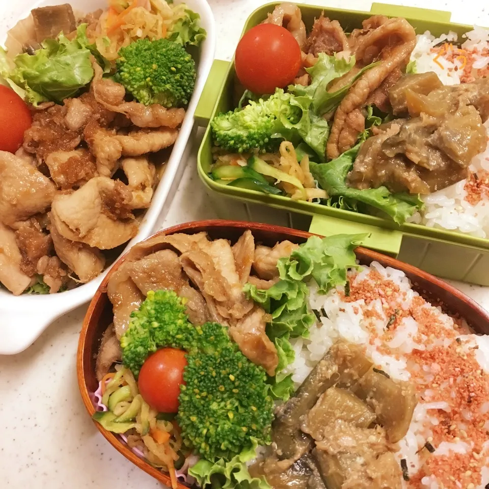 Snapdishの料理写真:今日のお仕事&留守番弁当♪2018.8.3|ぐぅさん