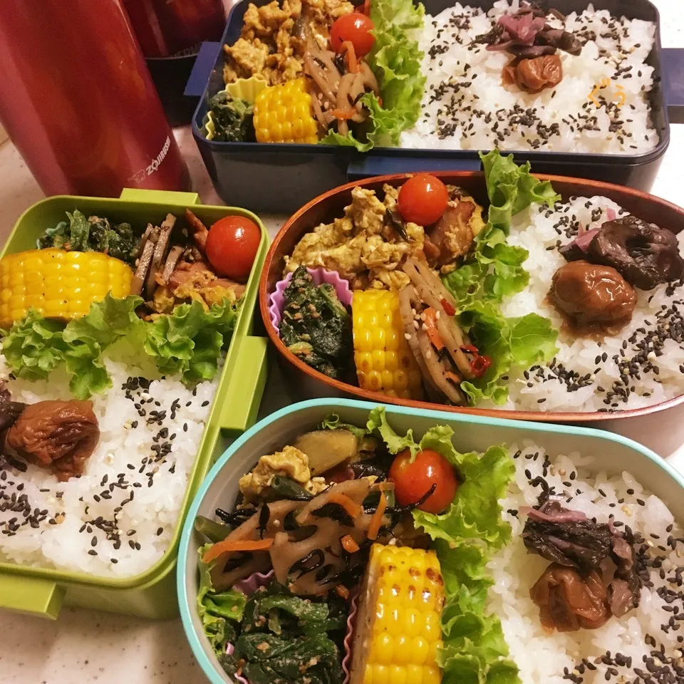 今日のお仕事&学校弁当♪2018.7.9|ぐぅさん