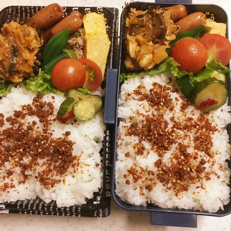 今日のお仕事&学校弁当♪2018.6.19|ぐぅさん