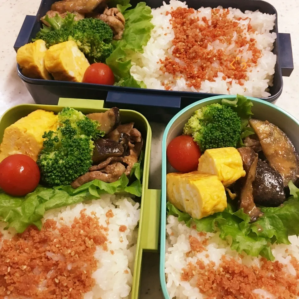 今日のお仕事&学校から弁当♪2018.5.28|ぐぅさん