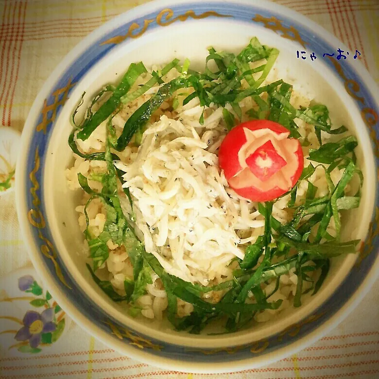 りかこさんマネッコ♡しらす丼|ニャーオさん