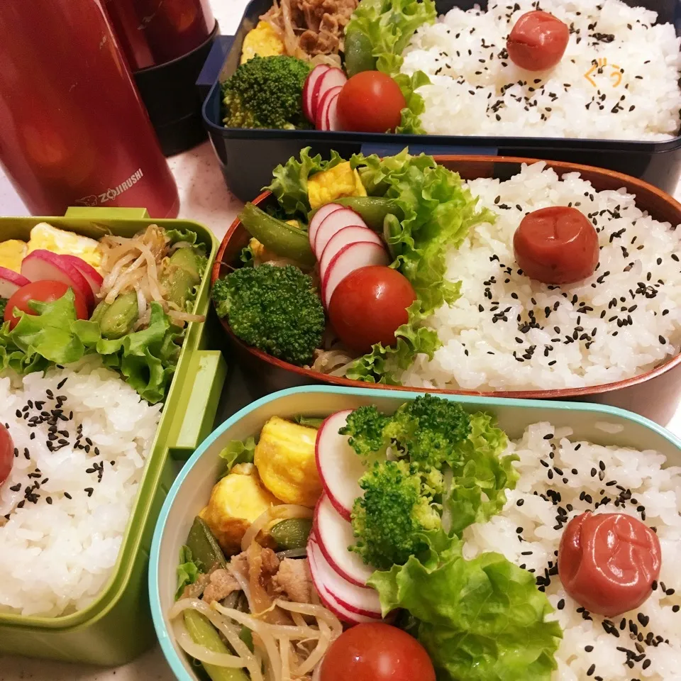 Snapdishの料理写真:今日のお仕事&学校弁当♪2018.5.15|ぐぅさん