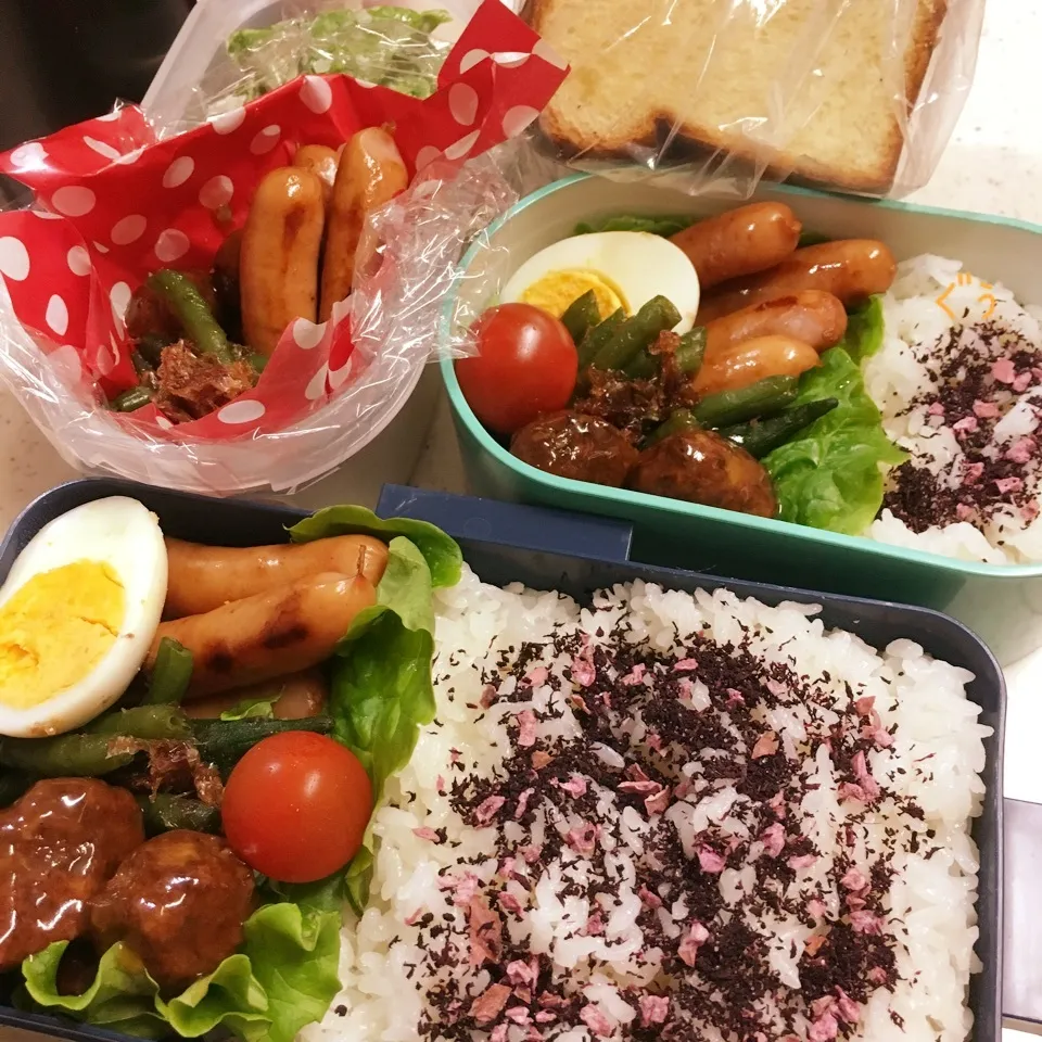 今日のお仕事&学校弁当♪2018.5.8|ぐぅさん