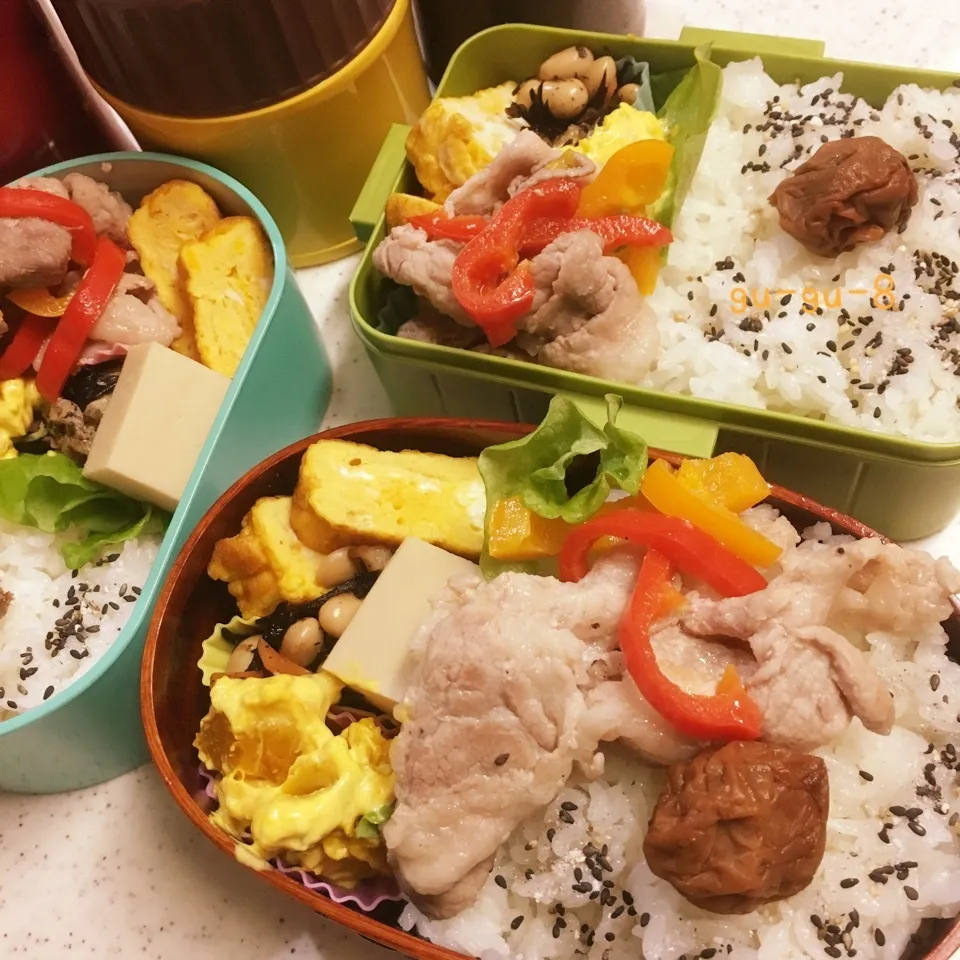 Snapdishの料理写真:今日のお仕事&学校弁当2018.3.7|ぐぅさん