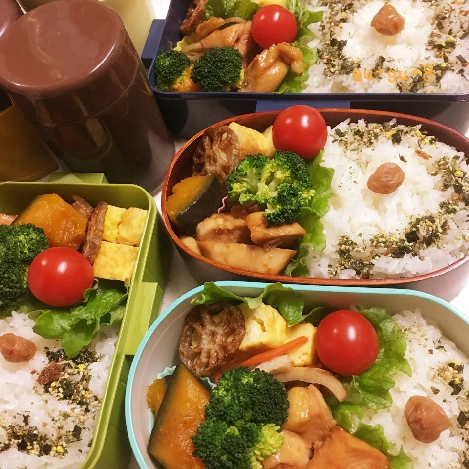 今日のお仕事&学校弁当♪2018.2.5|ぐぅさん