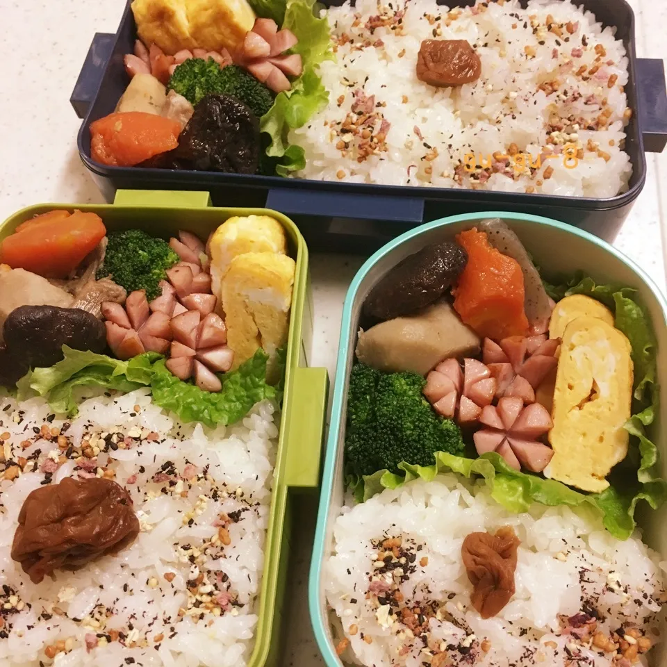 今日のお仕事&学校弁当♪2018.1.29|ぐぅさん