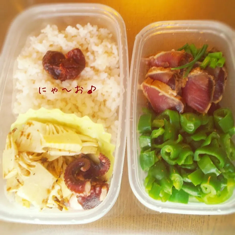 パパのお弁当(*^^*)|ニャーオさん