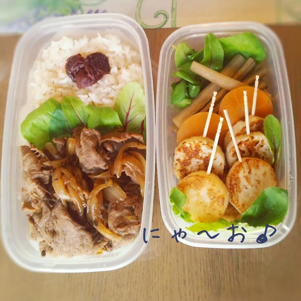 パパのお弁当(*^^*)|ニャーオさん