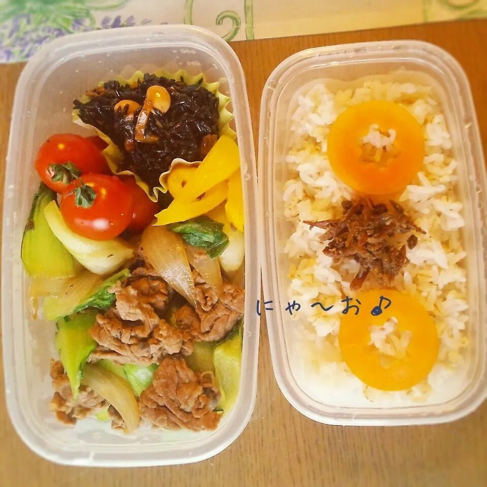 パパのお弁当(*^^*)|ニャーオさん