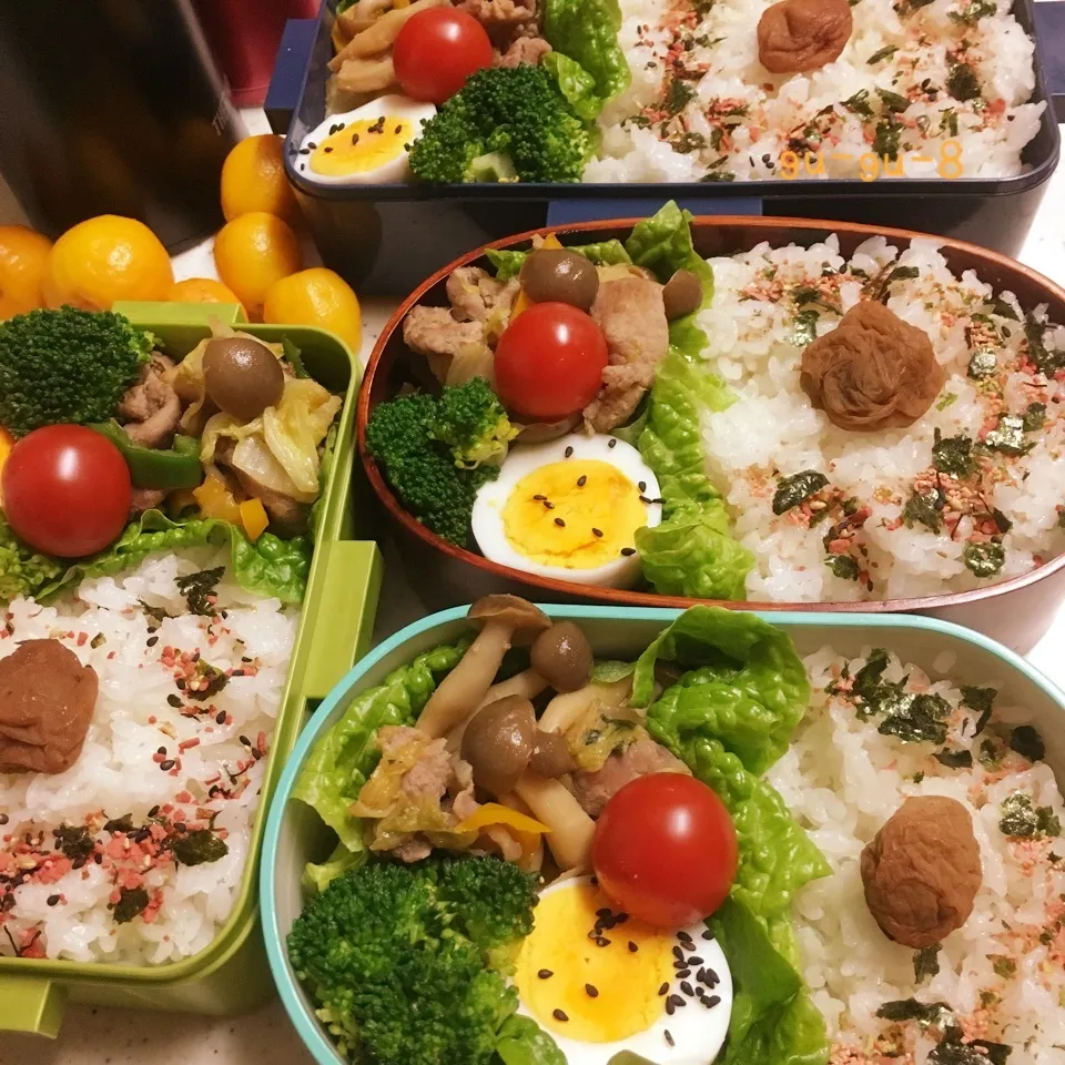 今日のお仕事&学校弁当♪2017.12.1|ぐぅさん