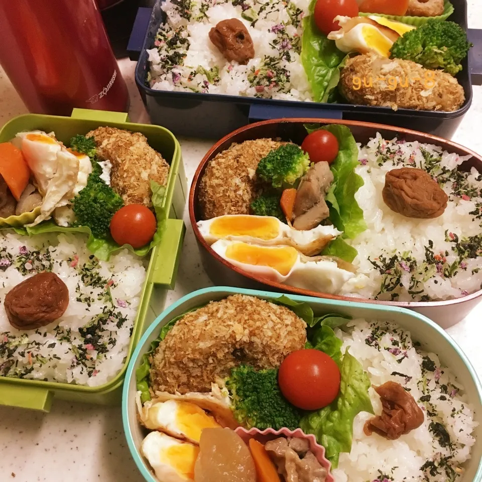 今日のお仕事&学校弁当♪2017.11.7|ぐぅさん