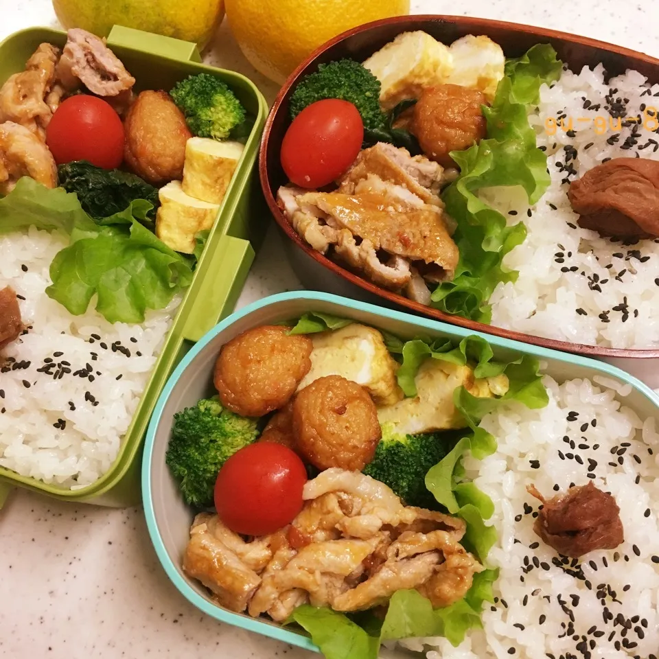 今日のお仕事&学校弁当♪2017.10.13|ぐぅさん