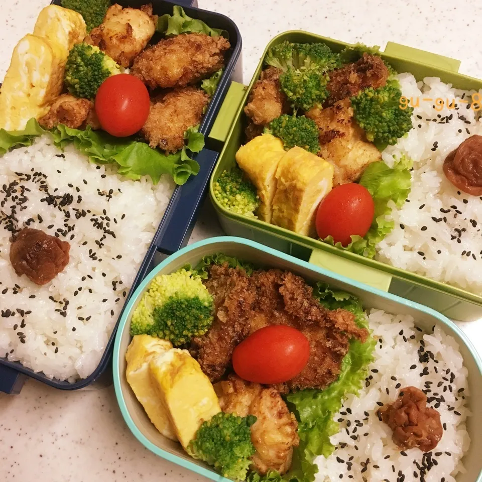 今日のお仕事&学校弁当♪2017.10.12|ぐぅさん