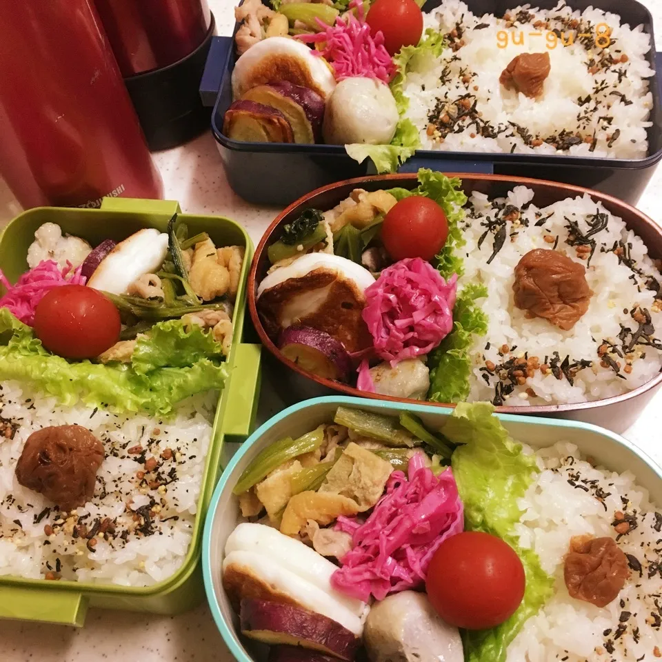 今日のお仕事&学校弁当♪2017.9.19|ぐぅさん