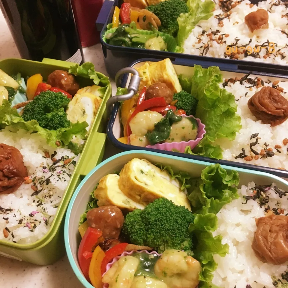 今日のお仕事&学校弁当♪2017.9.4|ぐぅさん