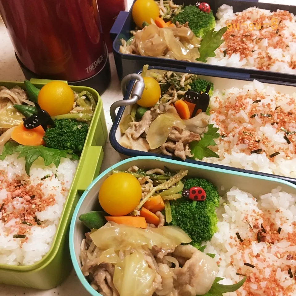 今日のお仕事&留守番弁当♪2017.8.23|ぐぅさん