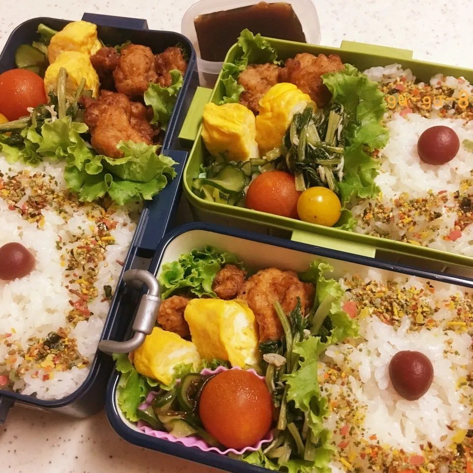 Snapdishの料理写真:今日のお仕事&留守番弁当♪2017.8.22|ぐぅさん