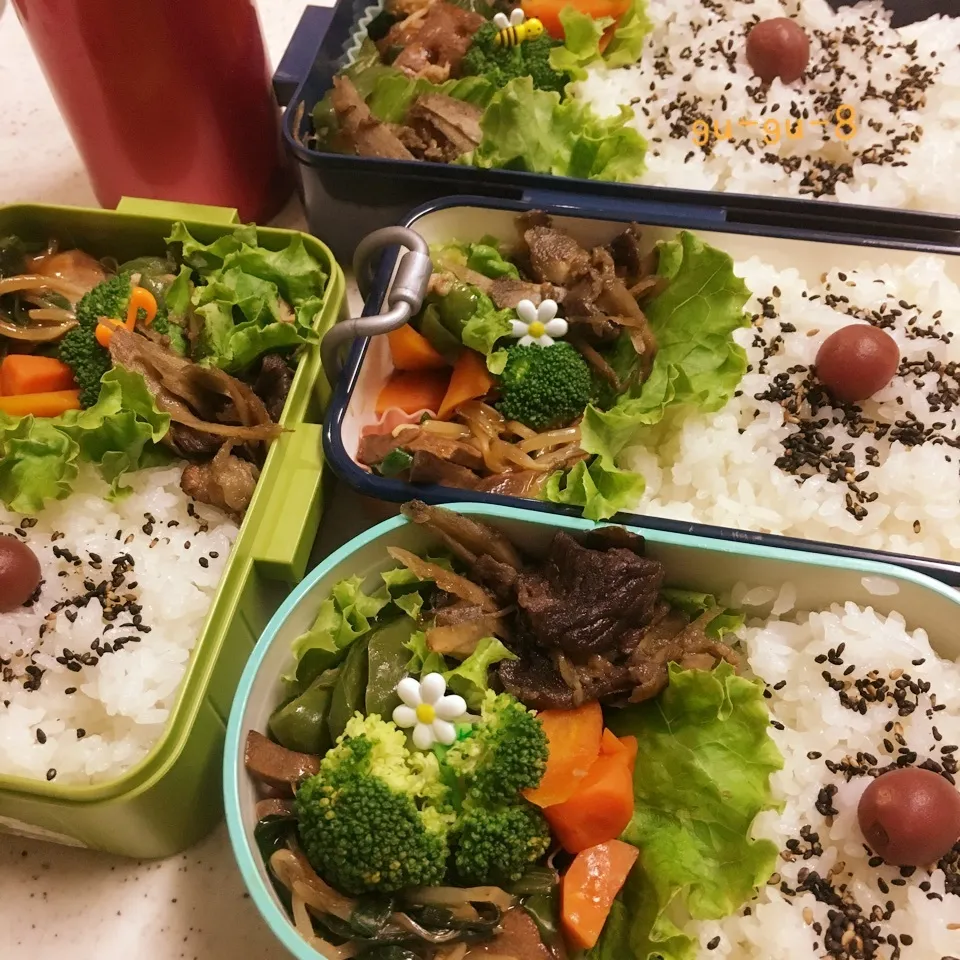 今日のお仕事&留守番弁当♪2017.8.17|ぐぅさん