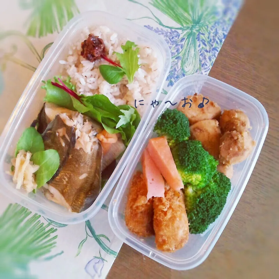 パパのお弁当(*^^*)|ニャーオさん