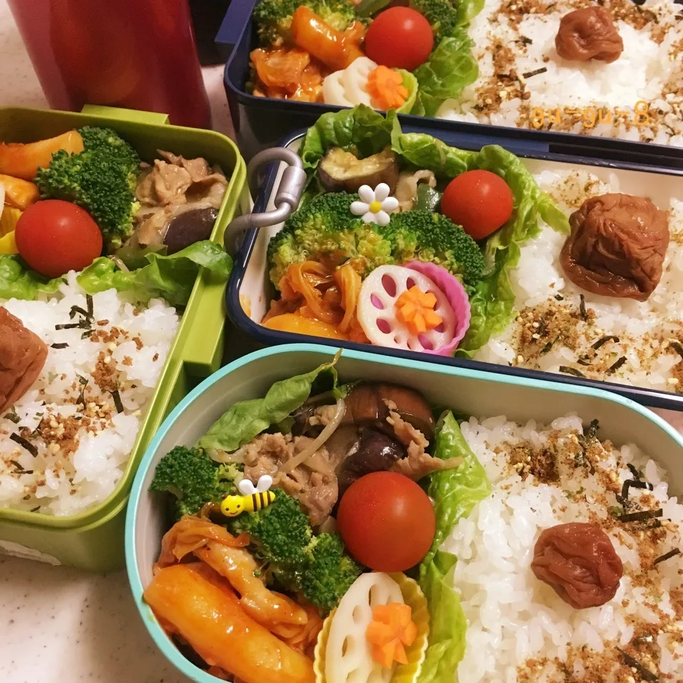 今日のお仕事&学校弁当♪2017.7.13|ぐぅさん