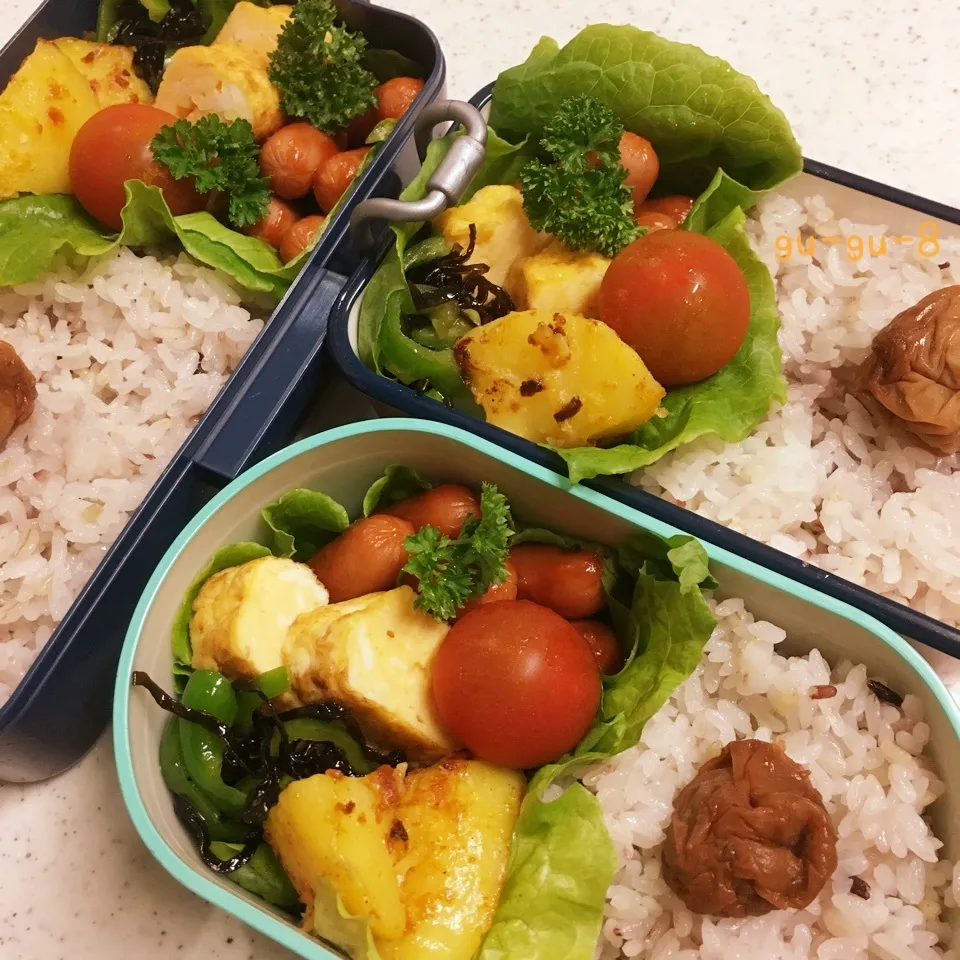 今日のお仕事&学校弁当♪2017.7.12|ぐぅさん