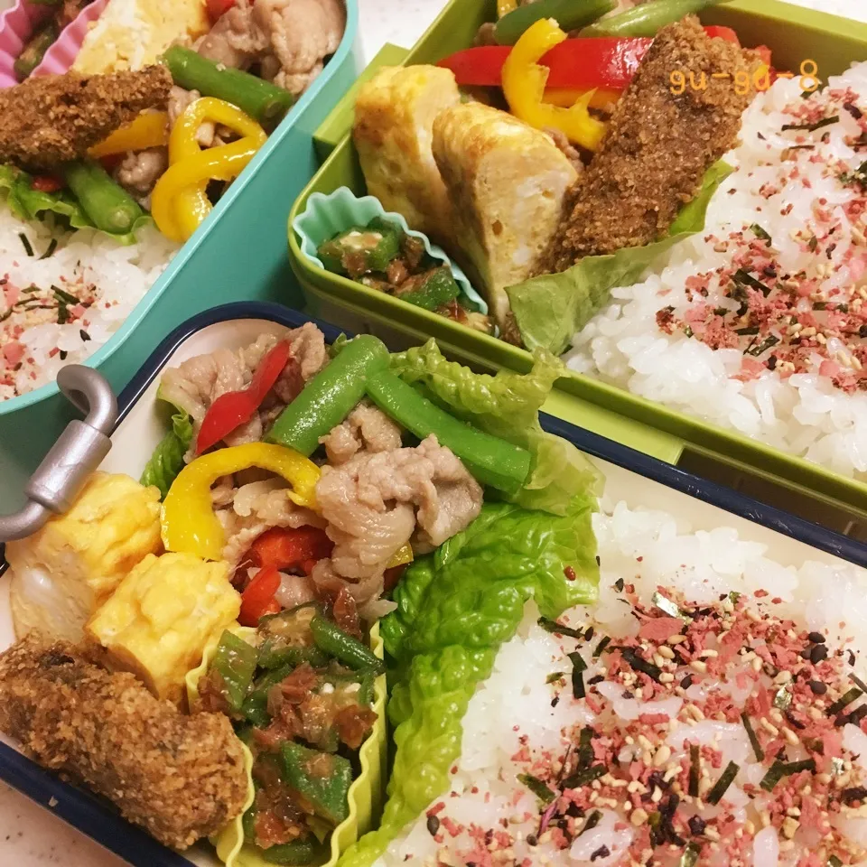 今日のお仕事&学校弁当♪2017.7.7|ぐぅさん