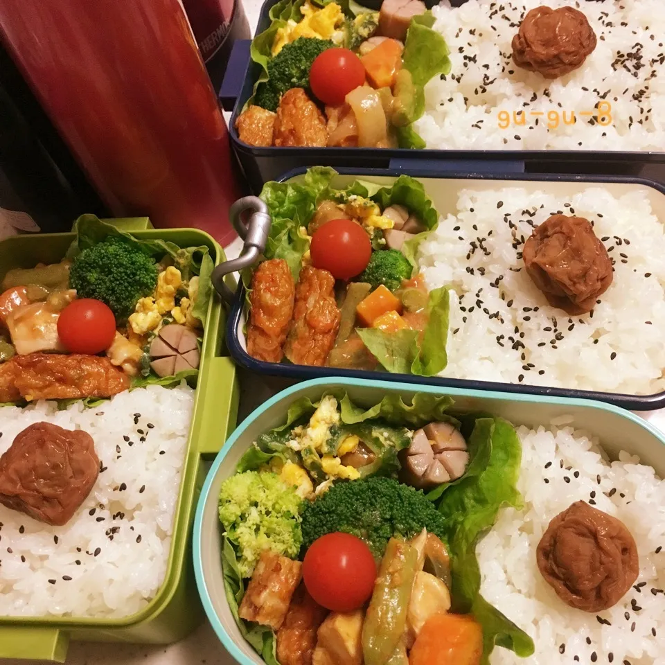 今日のお仕事&学校弁当♪2017.7.5|ぐぅさん