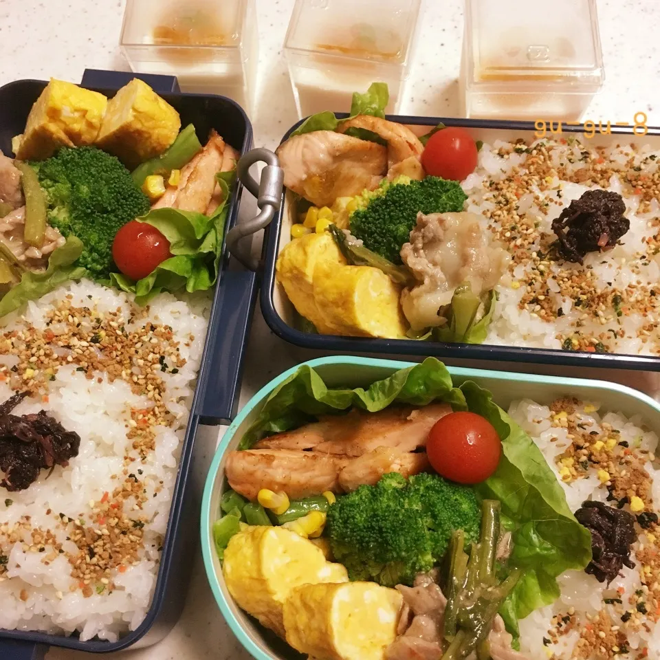 今日のお仕事&学校弁当♪2017.7.4|ぐぅさん