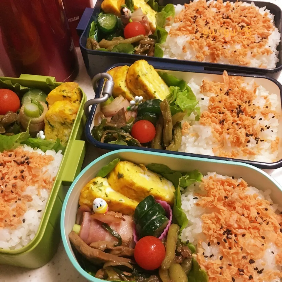 今日のお仕事&学校弁当♪2017.7.3|ぐぅさん