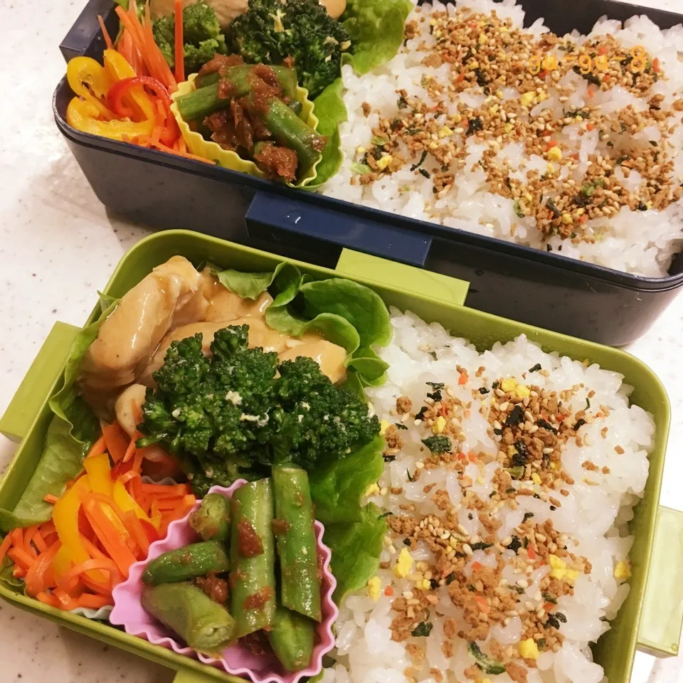 今日のお仕事&学校弁当♪2017.6.28|ぐぅさん