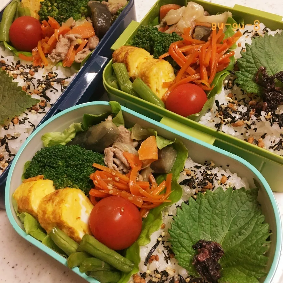 今日のお仕事&学校弁当♪2017.6.23|ぐぅさん