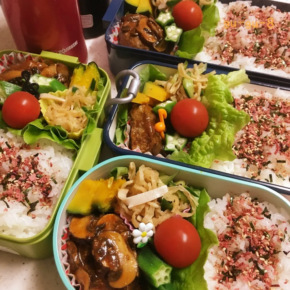 今日のお仕事&学校&留守番弁当♪2017.6.21|ぐぅさん