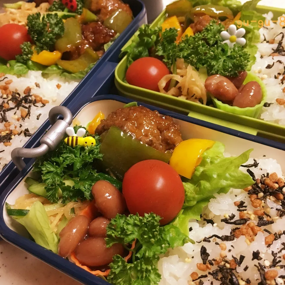 今日のお仕事&学校弁当♪2017.6.20|ぐぅさん