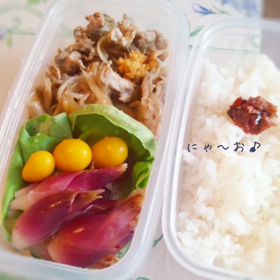 パパのお弁当(*^^*)|ニャーオさん